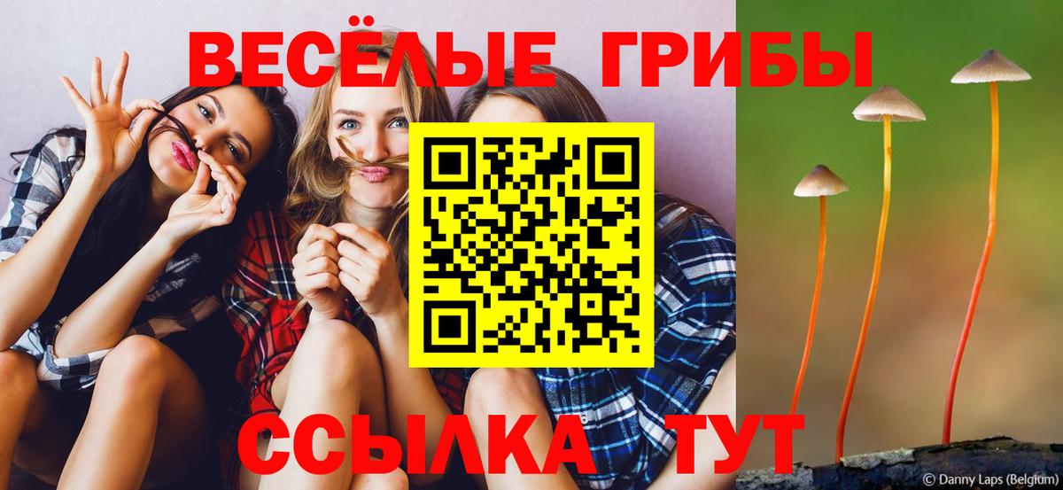 Псилоцибиновые грибы Psilocybe  Вход с VPN  купить наркотик  Мирный 