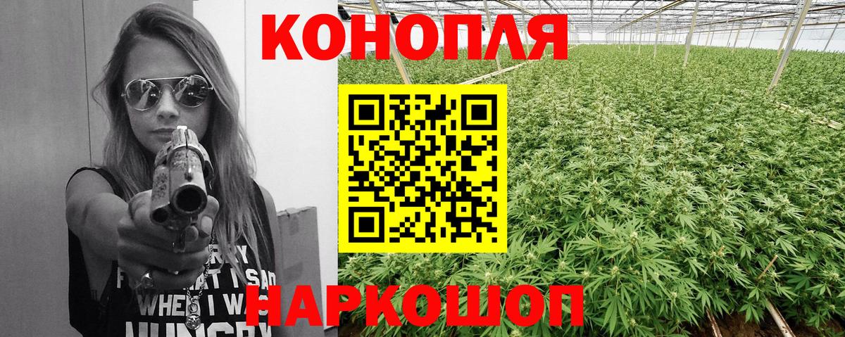 Конопля SATIVA & INDICA Мирный